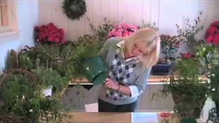 How to Grow Jasmine Plants Indoors [upl. by Barbi]