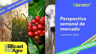 07102024  Perspectiva semanal mercado agro [upl. by Artimed]