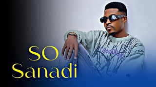 Umar M Shareef  So Sanadi  Official Video 2024 [upl. by Virgy]