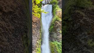 Horsetail Falls Oregon’s Cascading Beauty [upl. by Sefton]