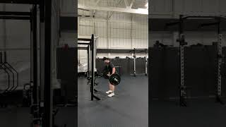 Bent Over Deadlift Row [upl. by Sirej]