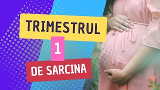 Trimestrul 1 de sarcina  simptome dezvoltarea bebelusului analize [upl. by Meryl]