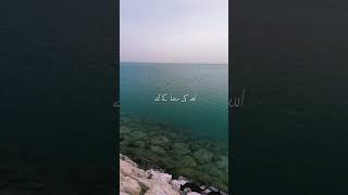 Hujur ne farmaya tune kisi shakhs Ki aisi jagah tauheen ki jahan us ki ijjat Bani hui thi yhc [upl. by Yelekalb]