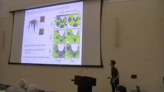 Kemp Plumb  Continuum of Magnetic Excitations HFM2018 [upl. by Cud620]