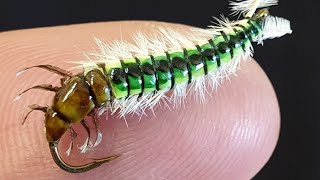 Fly Tying a Caddis Larva [upl. by Asiil]