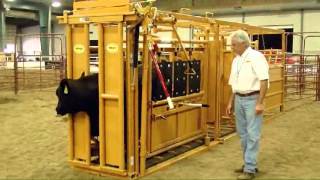 Sioux Steel Squeeze Chute  LivestockShed [upl. by Stutman417]