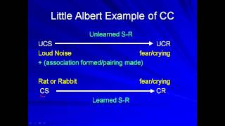 Extending Classical Conditioning Flipped Notes Part Two for AP Psychology by Mandy Rice [upl. by Ahsein380]