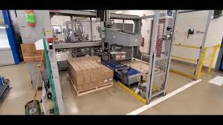 Cermex P842 Dual Station Palletizer [upl. by Ernald293]