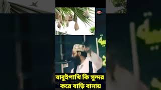 বাবুইপাখি কি সুন্দর করে বাড়ি বানায়  allama delwar hussain saidi waz দেলোয়ারহোসাইনসাঈদী waz [upl. by Adnoek]