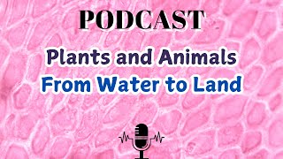 Plants and Animals From Water to Land [upl. by Eilahtan]