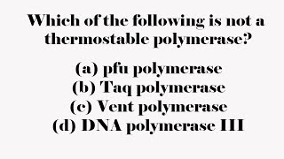 Which of the following is not a thermostable polymerase [upl. by Notlrac]