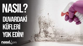 DUVARDAKİ KÜF NASIL GEÇER KÜF NEDEN OLUR NASIL TEMİZLENİR küf temizlik nasıl [upl. by Rosemary]