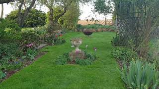 Gardens to visit for charity Townsend Farmhouse Steppingley [upl. by Yacov]