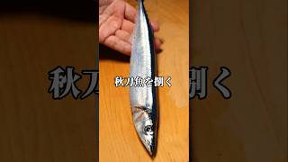 秋刀魚を三枚おろしで捌く 秋刀魚 三枚おろし 魚の捌き方 [upl. by Zebapda]