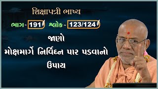 Shikshapatri Bhashya Katha  191  07 Oct 2024  Gyanjivandasji Swami  Kundaldham [upl. by James744]