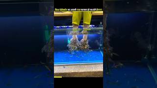 Shocking 😱 Truth behind Fish Pedicure shorts facts fish fishpedicure truth skincare short [upl. by Kahn]