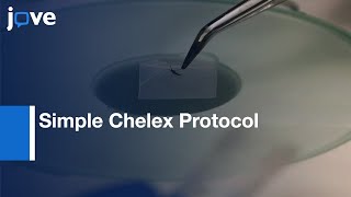 Simple Chelex Protocol DNA Extraction From Anopheles spp l Protocol Preview [upl. by Allisan]