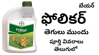 folicur fungicide full details in telugu by httpswwwyoutubecomcinnovativefarmingtelugu [upl. by Watkin]