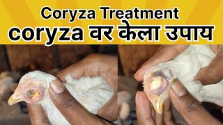 Coryza Treatment  coryza वर केला उपाय  lnfectious coryza in chickens hen poultryfarm [upl. by Aikyn]