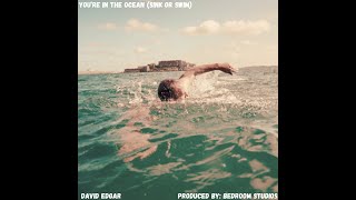 David Edgar Youre In the Ocean Sink or Swim  Official Audio [upl. by Erdnaid280]