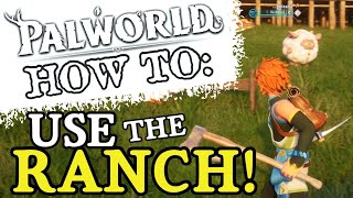 Palworld How to Use the Ranch [upl. by Naellij]