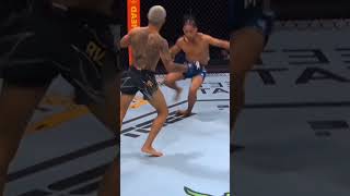 Fighting Arena Exciting Fighting Moments Fighting UFC [upl. by Quirita203]