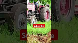 youtube life agriculturelife [upl. by Nauqat]