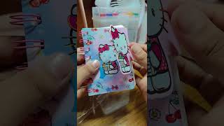 Unboxing cute hello kitty diaryart namira [upl. by Garrot320]