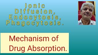 Drug Absorption Mechanism3 Ionic Diffusion ion pair transport Endocytosis Phagocytosis Pinocytosis [upl. by Juakn]