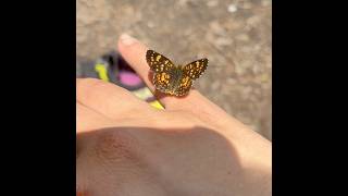 Day 6369 12 East Glacier MT to Augusta MT Continental Divide Trail [upl. by Dahsra]