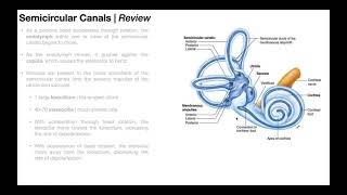 Benign Paroxysmal Positional Vertigo BPPV  Overview [upl. by Avictor]