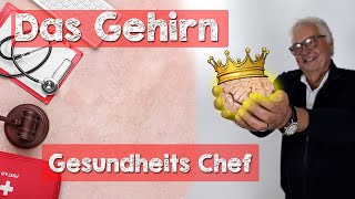 Das Gehirn 🧠 Der Chef Ihrer Gesundheit 👑 Wie das Nervensystem Einfluss auf die Gesundheit nimmt [upl. by Perkoff]