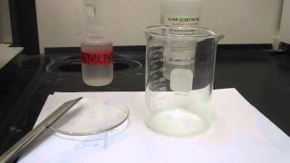 Reaction of Sodium with tertButanol 003 [upl. by Fae]