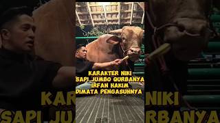 Niki sapi jumbo irfan hakim irfanhakim dhakims setiafarm cow rumahjoglo shorts hermawan [upl. by Ajnin]