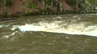 Trout Fishing Bullpasture River [upl. by Lliw]