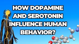 How Dopamine and Serotonin Influence Human Behavior [upl. by Stutzman940]