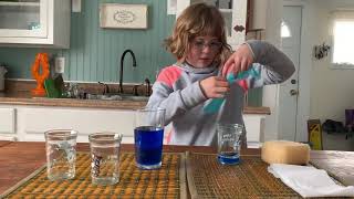 Absorbency Experiment for Kids [upl. by Emeline]