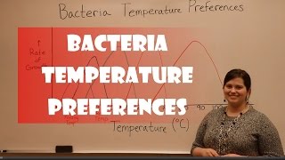 Bacteria Temperature Preferences [upl. by Sinnaoi]