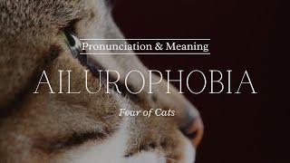 How to Pronounce Ailurophobia  British Pronunciation amp Meaning [upl. by Enneire46]