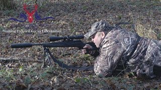 Fallow Deer Stalking in Lincolnshire [upl. by Nayt]