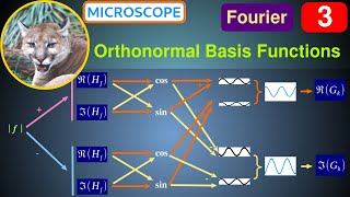 Fourier 3  DFT Outputs Basis Functions amp Symmetries [upl. by Inor]