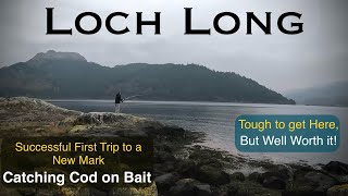 Sea Fishing Scotland  Loch Goil to Loch Long  Catching Cod in a Beautiful Location [upl. by Gow727]