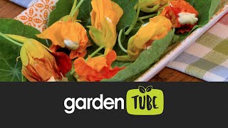 Ways To Use Nasturtiums In Cooking [upl. by Elleimac]