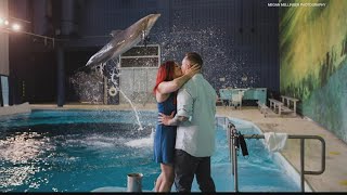 Indianapolis Zoo dolphin helps pop the question to WZPLs Nikki Reed [upl. by Thurstan]