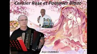 Cerisier rose et Pommier blanc Alain CHAMBAS [upl. by Gluck]