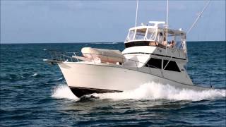 Viking Sportfish Convertible Open Bridge  SEA NOTE [upl. by Fruma454]