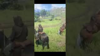 Do you need a hand with your horse rdrd2 funnyshorts reddeadredemtion2 [upl. by Derwon]