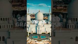 Sheikh Zayed Grand Mosque in Abu Dhabi 🇦🇪 viralvideo abudhabi shorts dubai islam prayer [upl. by Onitselec]