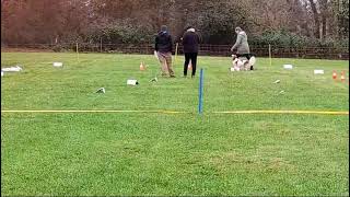 Rally Obedience Turnier beim SG OV Baiersdorf [upl. by Tifanie873]