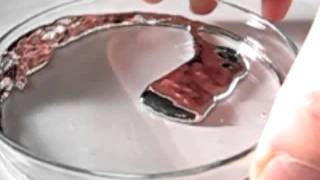 experiments with the liquid metal mercury V feat gallium [upl. by Iznil]